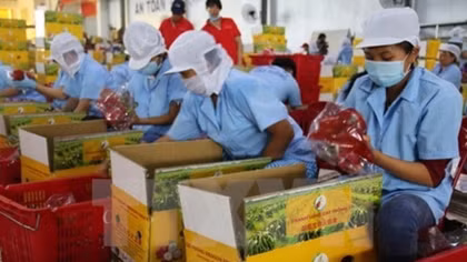 Consistent quality a must for RoK exports