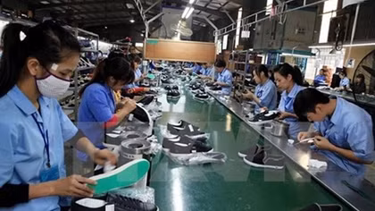 Leather and footwear sector imports 60% of materials