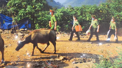 Photo book on life in Vietnam during COVID-19 pandemic published