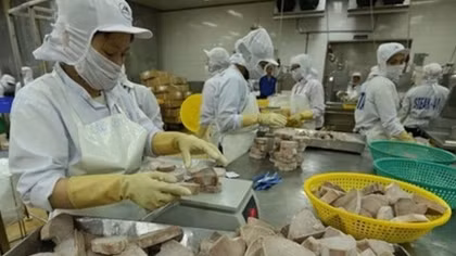 Aquatic product exports likely to rake in US$9 billion this year