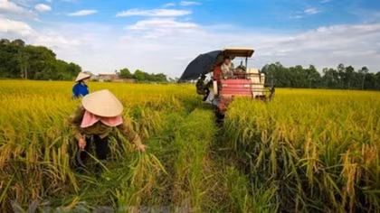 Cultivation targets 21 billion USD in export revenue