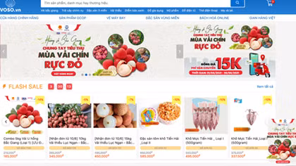 Bac Giang lychees to go on sale through six local e-commerce platforms