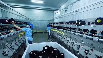 Vietnam faces increasing tax evasion and avoidance