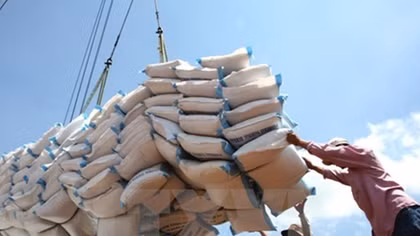 Vietnam earns US$2.2 billion from rice export this year