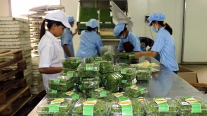 Agriculture sector targets 3% annual growth by 2020