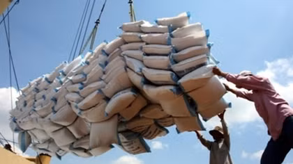 Rice export upbeat in first half