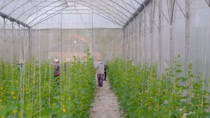 Forum on agricultural product consumption to be held for first time
