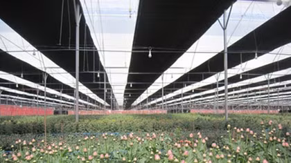 The thorny path to hi-tech agriculture