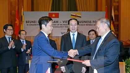 Vietnam, Brunei develop trade relations
