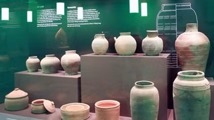 Vietnam archaeological treasures exhibition successful in Germany