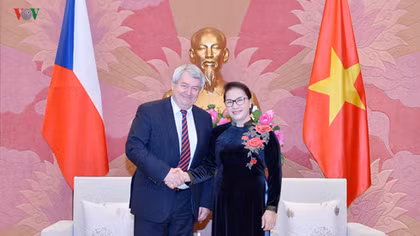 NA leader welcomes lower house Vice Chairman of Czech
