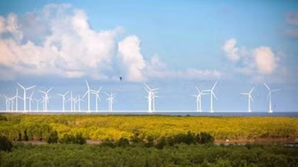 Vietnam renewable energy week to open on August 21
