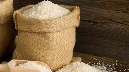 Rice quality matters: Prime Minister Phuc