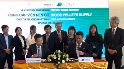 Export of wood pellets to Japan to rise