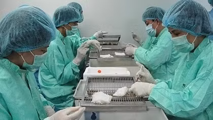 Vietnam prepares 2nd phase testing of COVID-19 vaccine 
