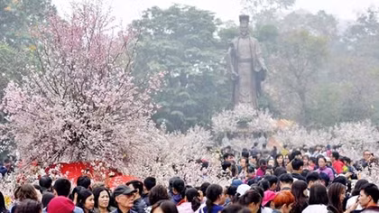 Japanese cherry blossom festival to open in Hanoi 