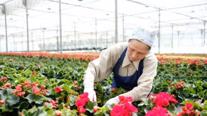 Vietnam sees opportunity in fruit, vegetable, flower exports