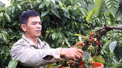 Vietnam seeks to increase value of coffee products