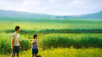 "Yellow Flowers on the Green Grass" to vie for Oscar's Best Foreign Film