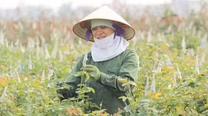 Capital wants more high-tech farms