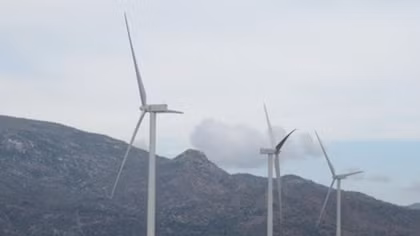 Green economy breeds sustainable development