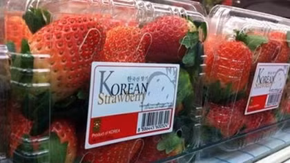 RoK strawberry imports face new rules