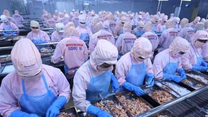 Economists: Vietnam should grasp opportunities in Africa