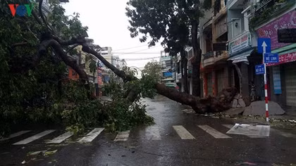 Storm Damrey strikes central and south-central coastal provinces