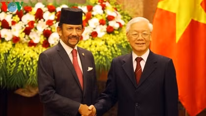 Official welcoming ceremony for Sultan of Brunei in Hanoi