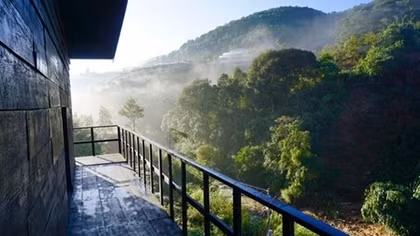 Plant a tree to stay for free at Da Lat wood cabin