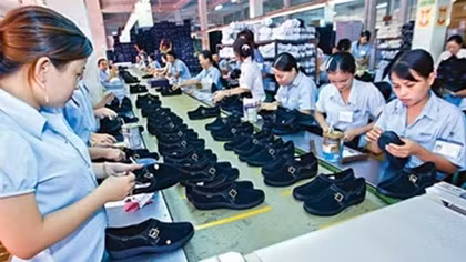 Bright prospects ahead for Vietnam-Canada trade cooperation