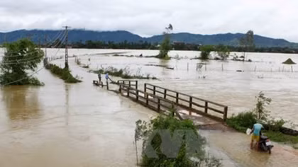 HCM City raises fund for flood-hit people in north, central