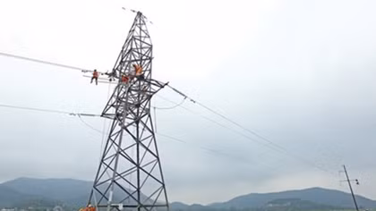 Electricity sector urged to reduce power loss