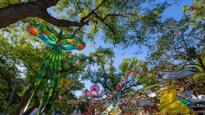 Hue kite festival 2019 opens in Tu Tuong park
