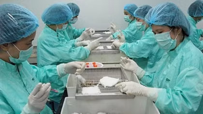 Vietnam makes steps to produce COVID-19 vaccine