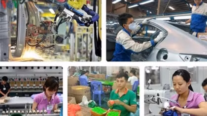 Vietnamese enterprises make the most of EVFTA