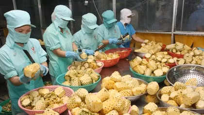 Fruit, vegetable exports hit US$1.38 billion in five months