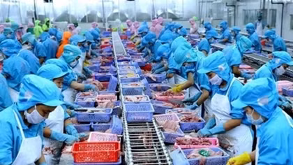 Fitch Ratings upgrades Vietnam’s outlook to “positive”