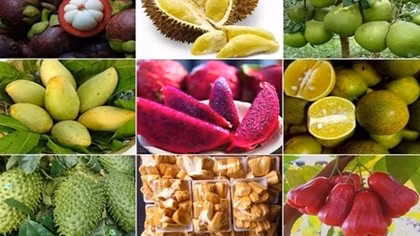Vietnamese exports to Eurasia enjoy strong growth of approximately 18%
