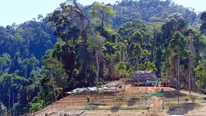 Quang Nam Province decides to turn Song Thanh Nature Reserve into national park