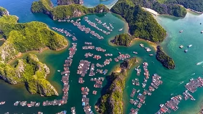 Protect pristine beauty of Lan Ha Bay: Hollywood hero DiCaprio