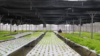 Climate-smart agriculture key to economic growth