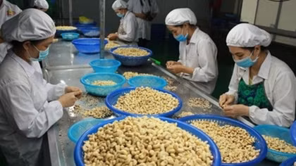 Non-tariff barriers hinder exporters