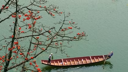 Enjoy beautiful March with flowers in full bloom
