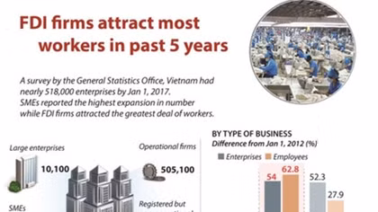 FDI firms attract most workers in past 5 years