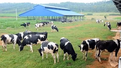 Israeli agriculture putting down roots in Vietnam