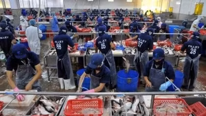 Seafood exports fetch US$4.63 billion in seven months