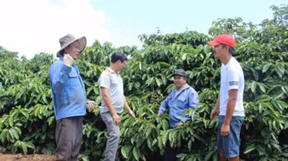 Lam Dong to host first Vietnam Coffee Day
