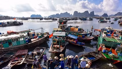 Early morning bustle of Ben Do Fish Market