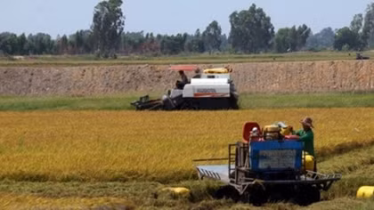 Mekong Delta seeks to turn agriculture challenges into opportunities